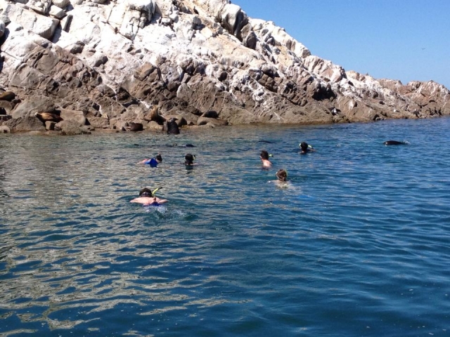  Swimming with friends 